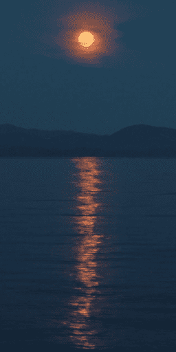 Vertical Video